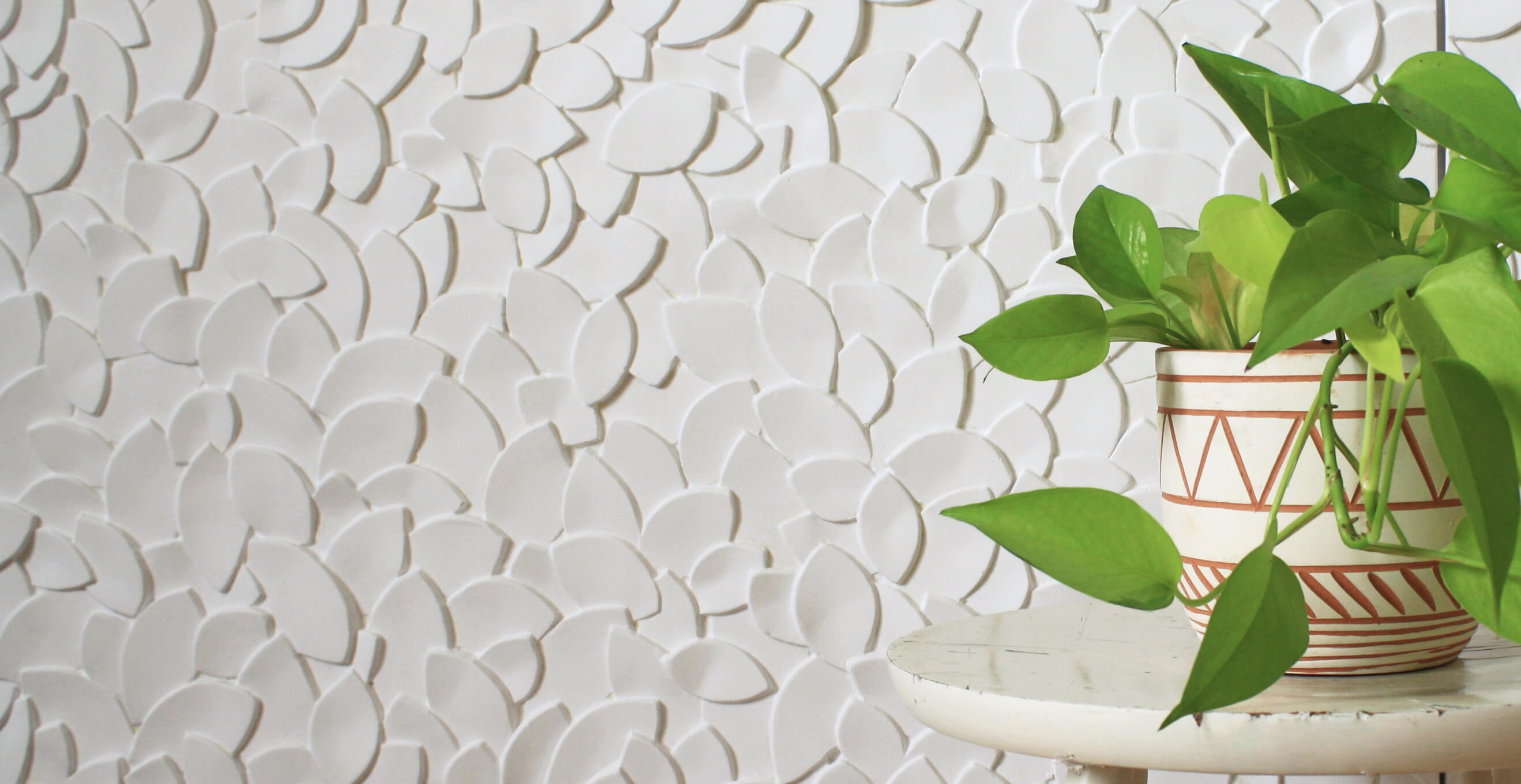 Plaster Collection